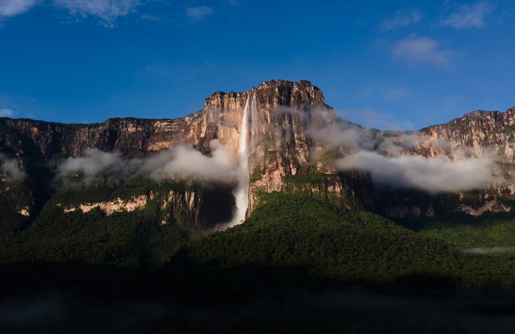 Tepuyes y selva de Venezuela